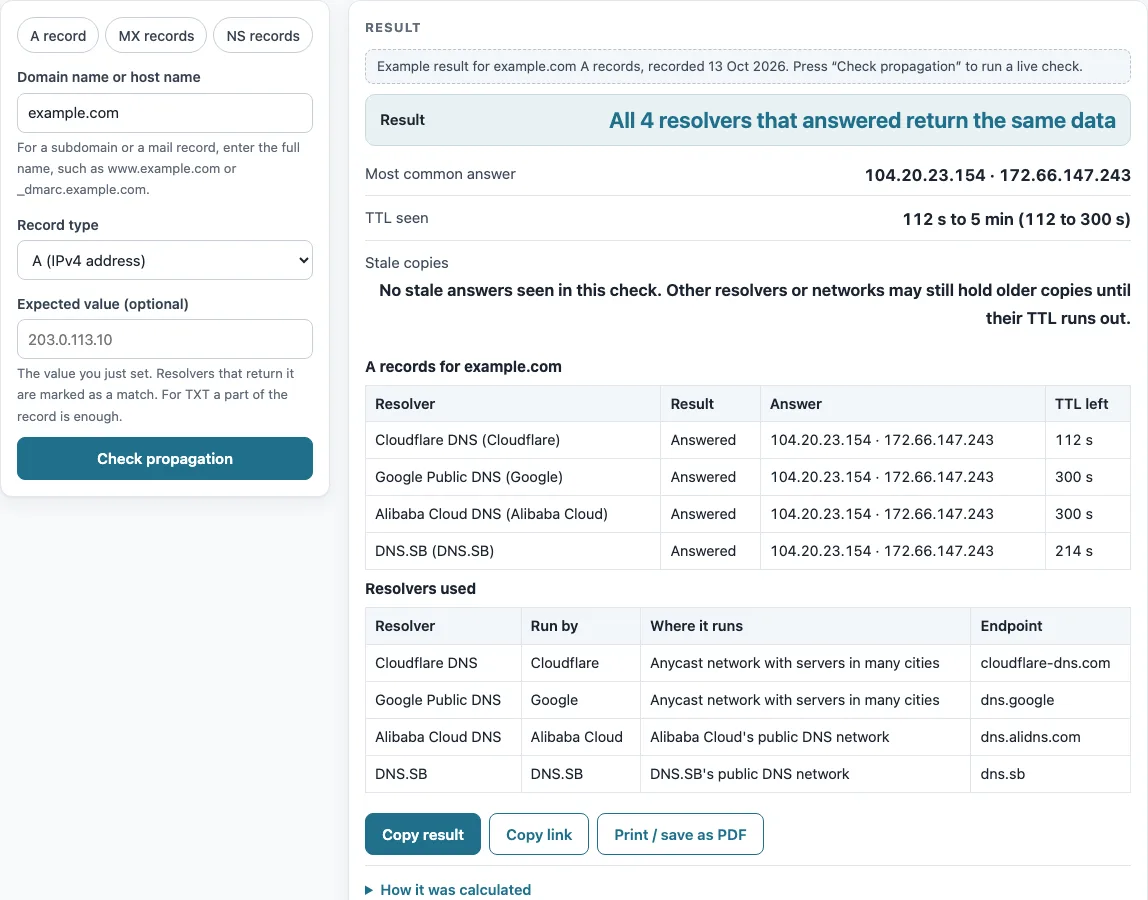 Dns propagation checker example